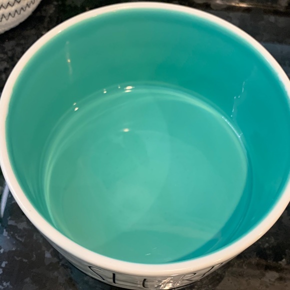 Rae Dunn White Teal Dog cat Bowl food water slurp comedy funny humor pun fun pet - Picture 2 of 3